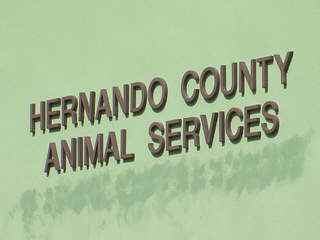 Hernando County Animal Services